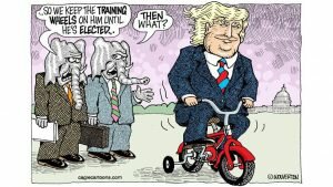 Cartoon shows Donald Trump on a small bicycle with training wheels. Two elephants in suits aske each other: "...so we keep the training wheels on him until elected..." and "Then what?"